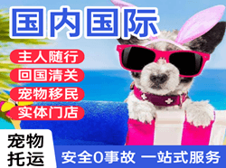 乌鲁木齐地窝堡航空托运国际宠物托运 【国